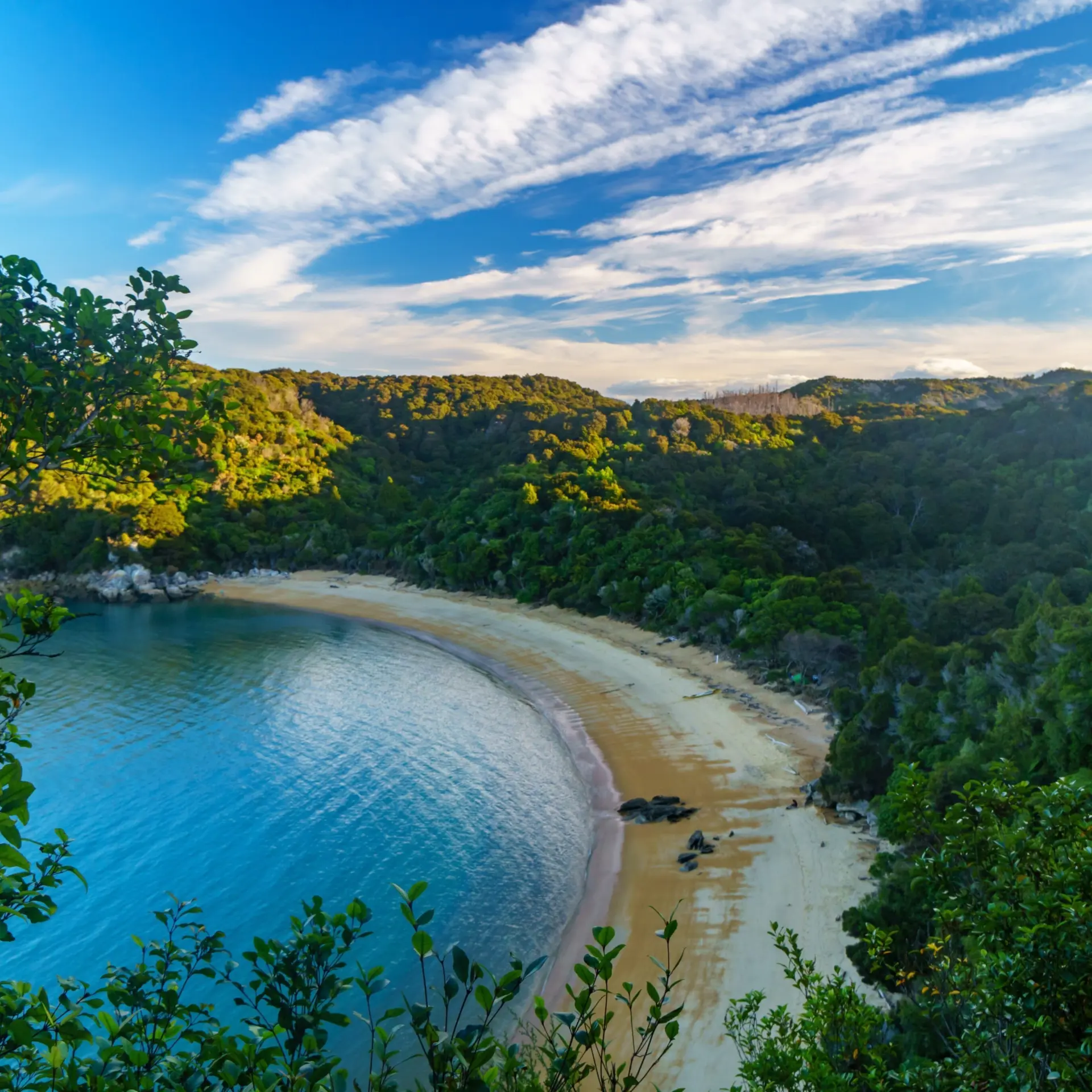 Ricardo helass abel tasman 3576909