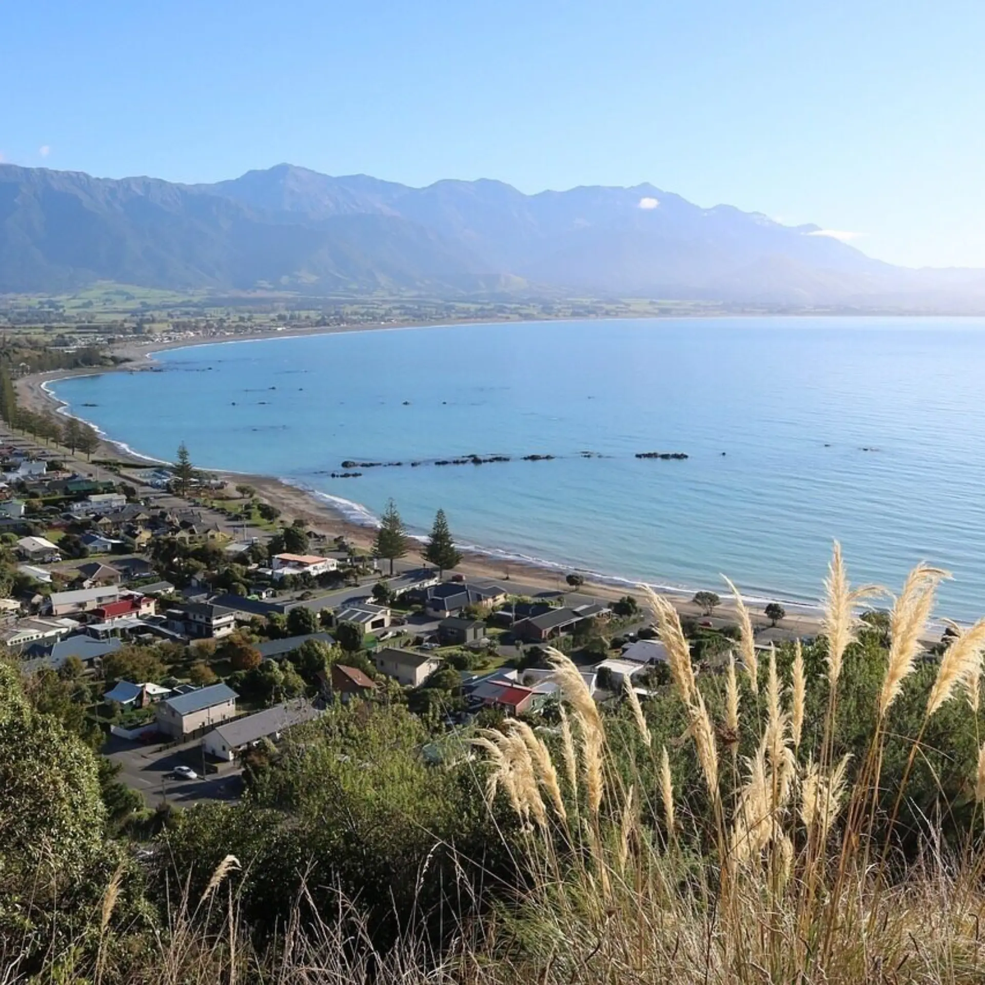 Kaikoura 4248161 1280