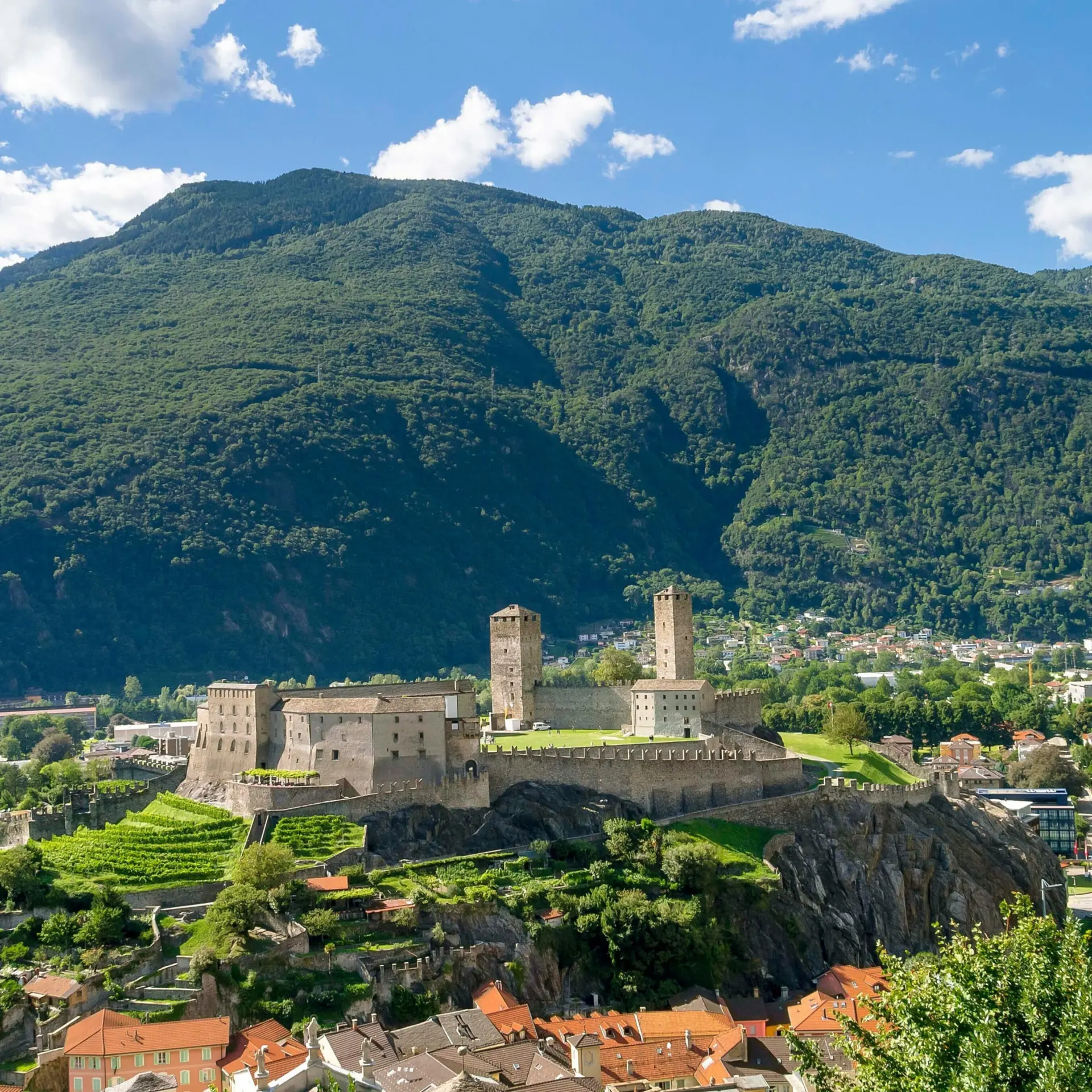 Patrizia berta 91gboibjn1y unsplash