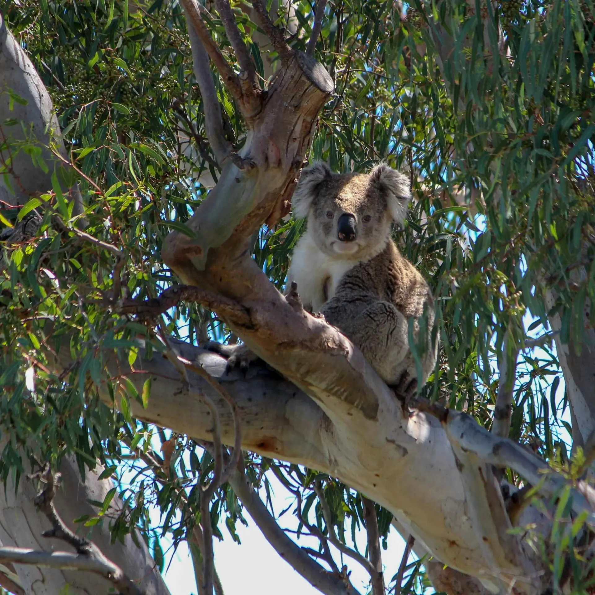 Edward wilson gis6rfr9clm unsplash