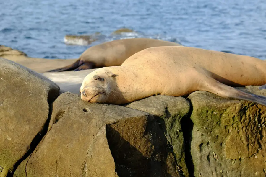 Hyukjoon sohn uprlnxgekvq unsplash1