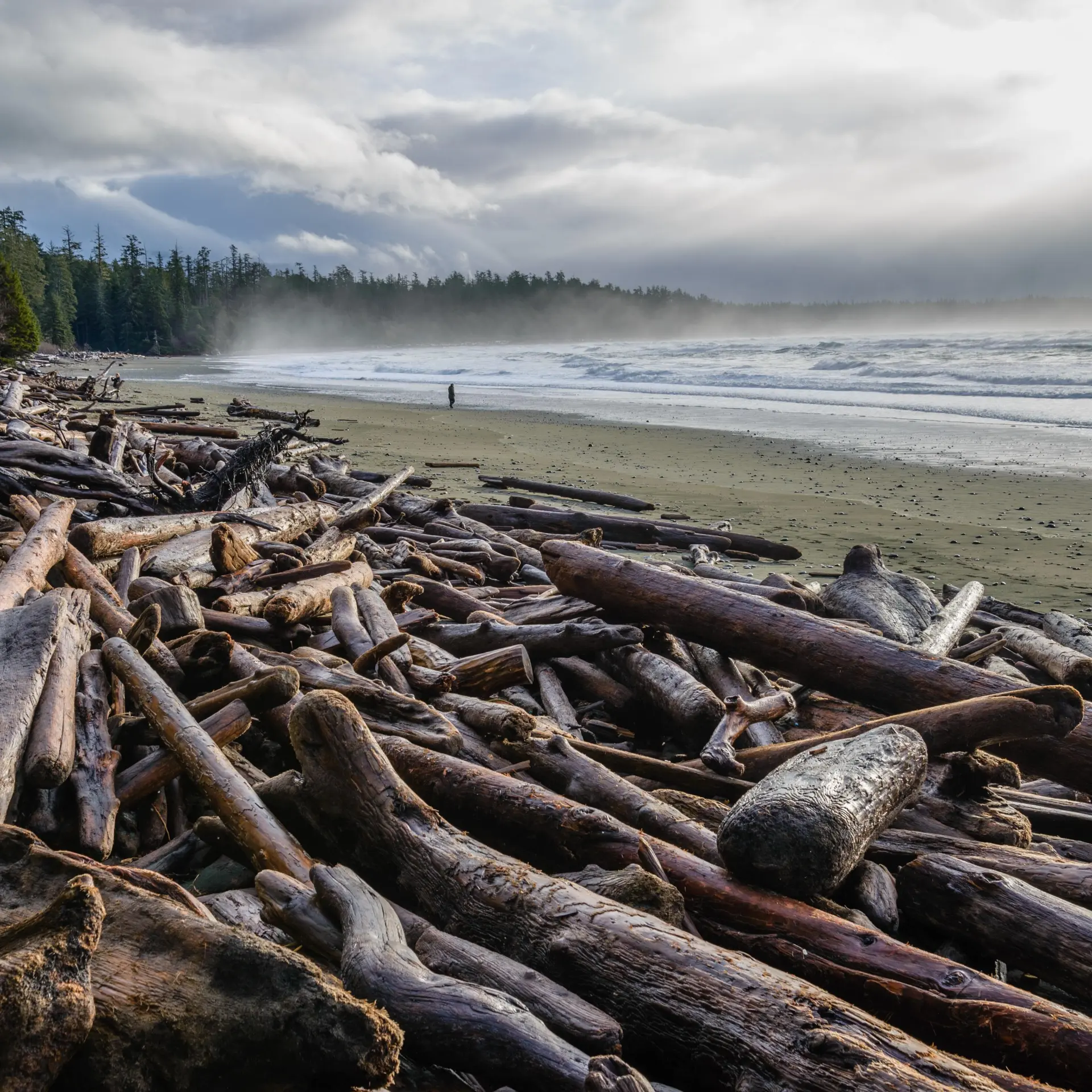 Tofino 2