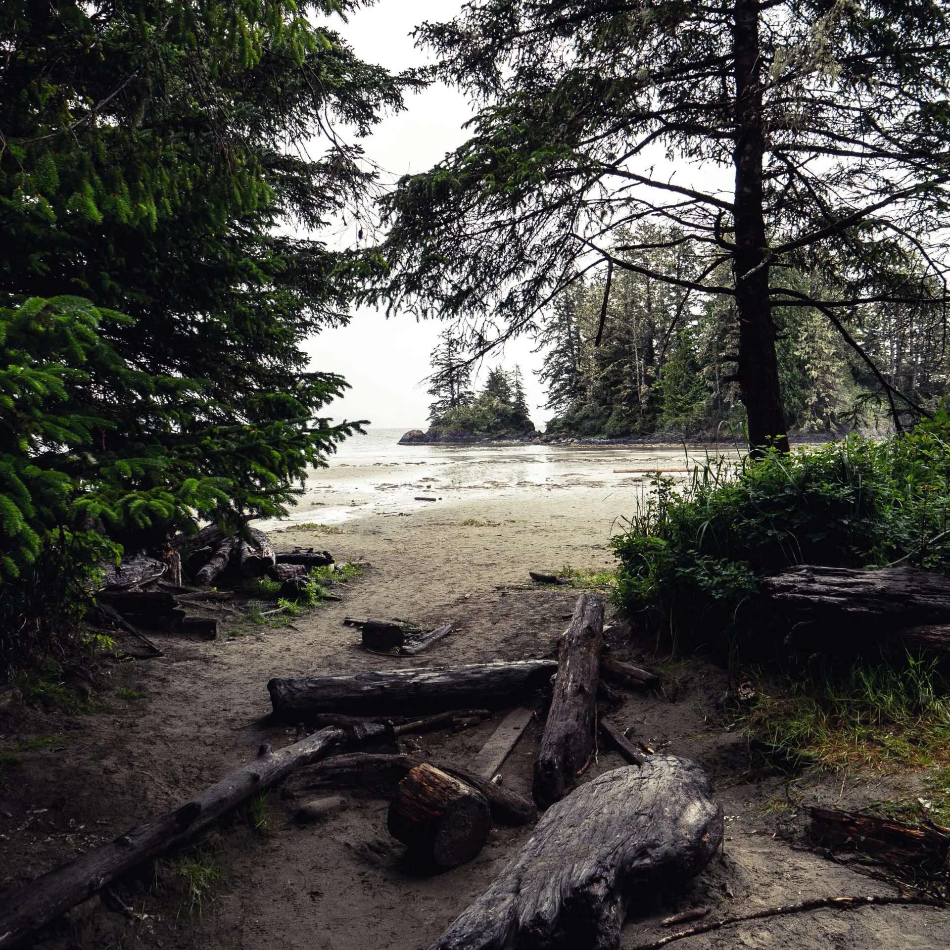 Tofino 3