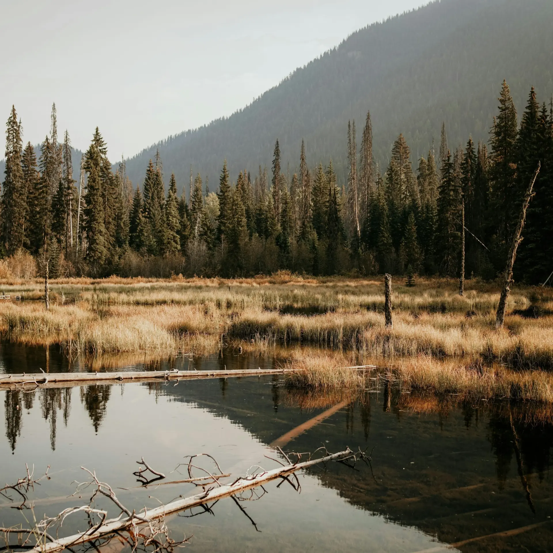 Agnieszka stankiewicz qlqmfzftauu unsplash