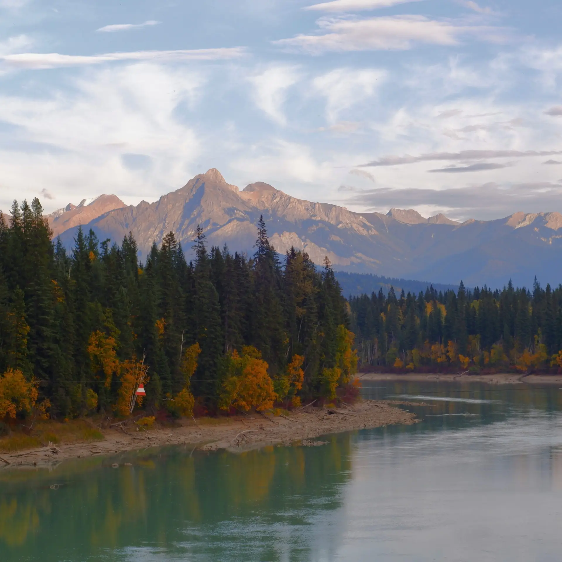 Tomasz brengos cef4sgfrltm unsplash