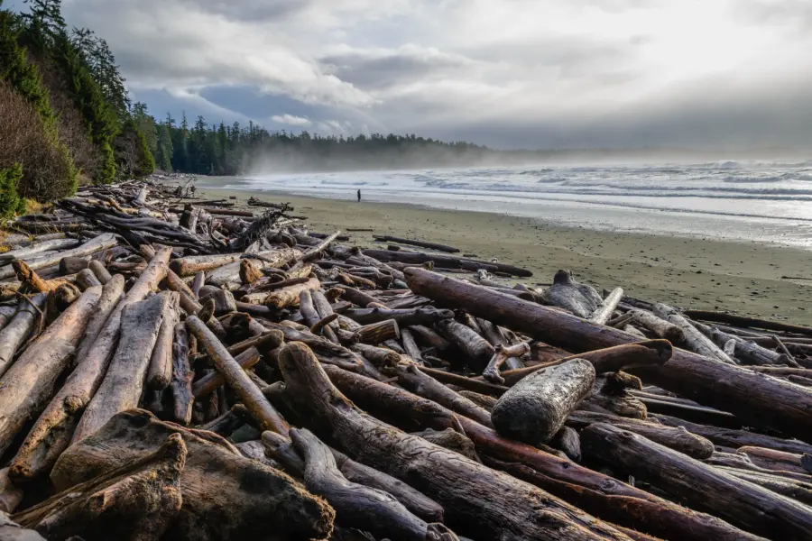 Tofino 2
