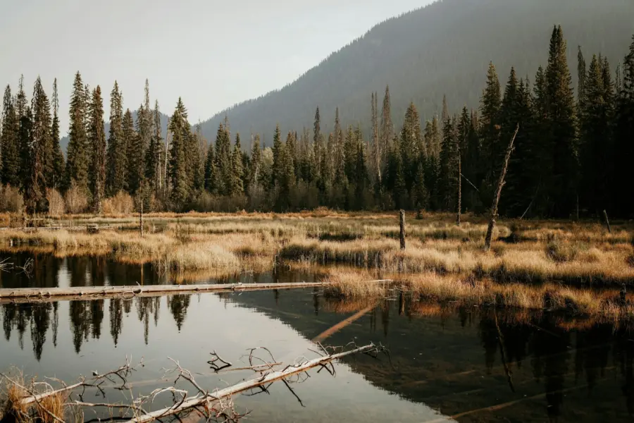 Agnieszka stankiewicz qlqmfzftauu unsplash