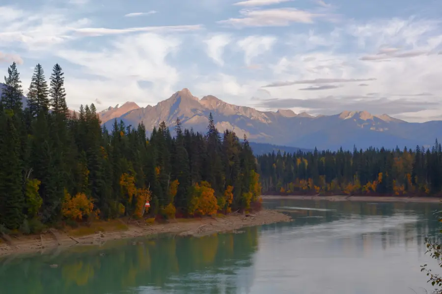 Tomasz brengos cef4sgfrltm unsplash