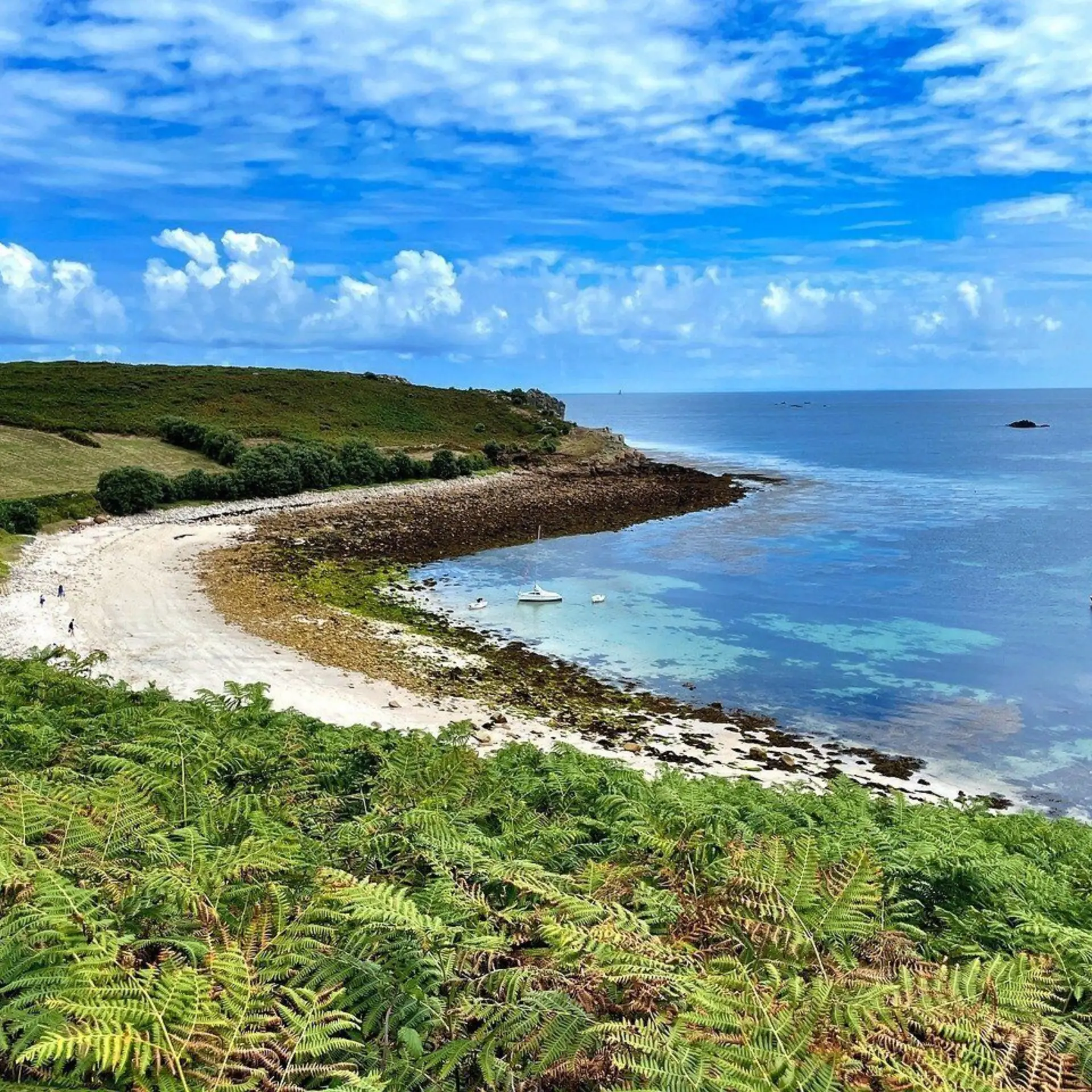 Sdm2019 tresco 97895781280