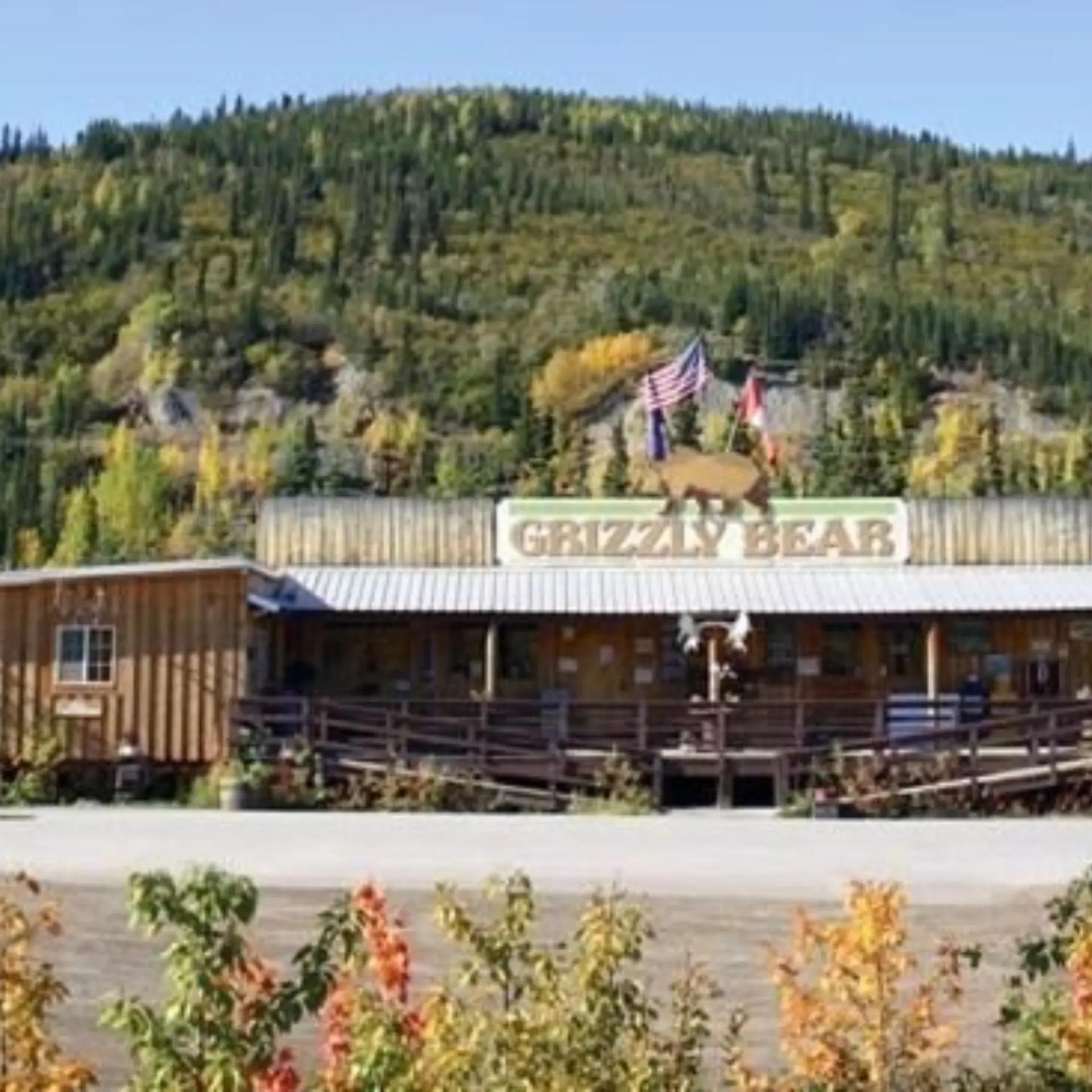 Denali grizzly bear resort 6