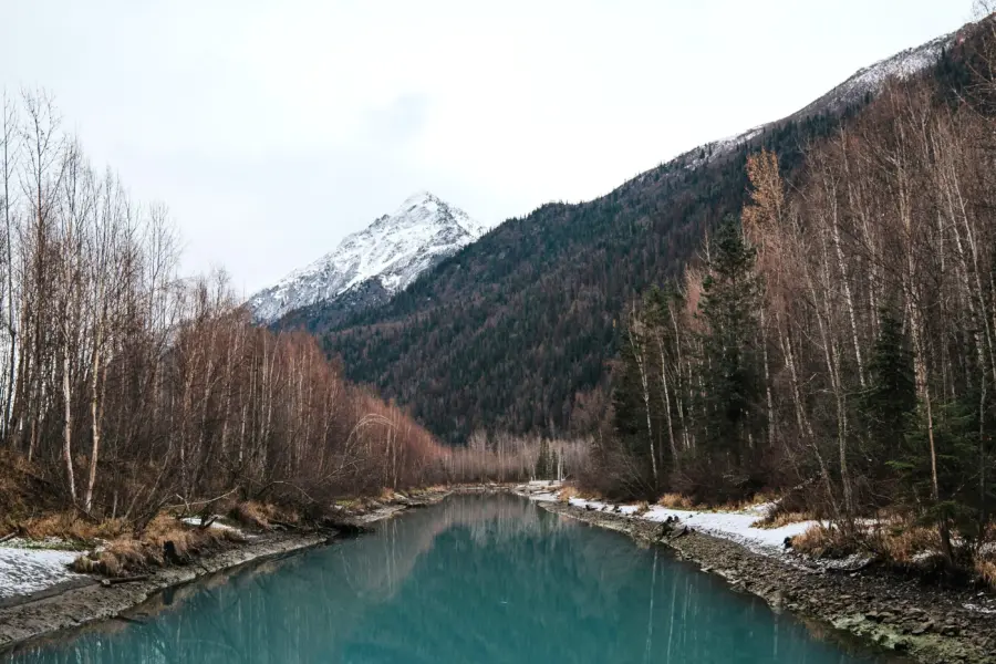 Taylor murphy est jjuhsn4 unsplash