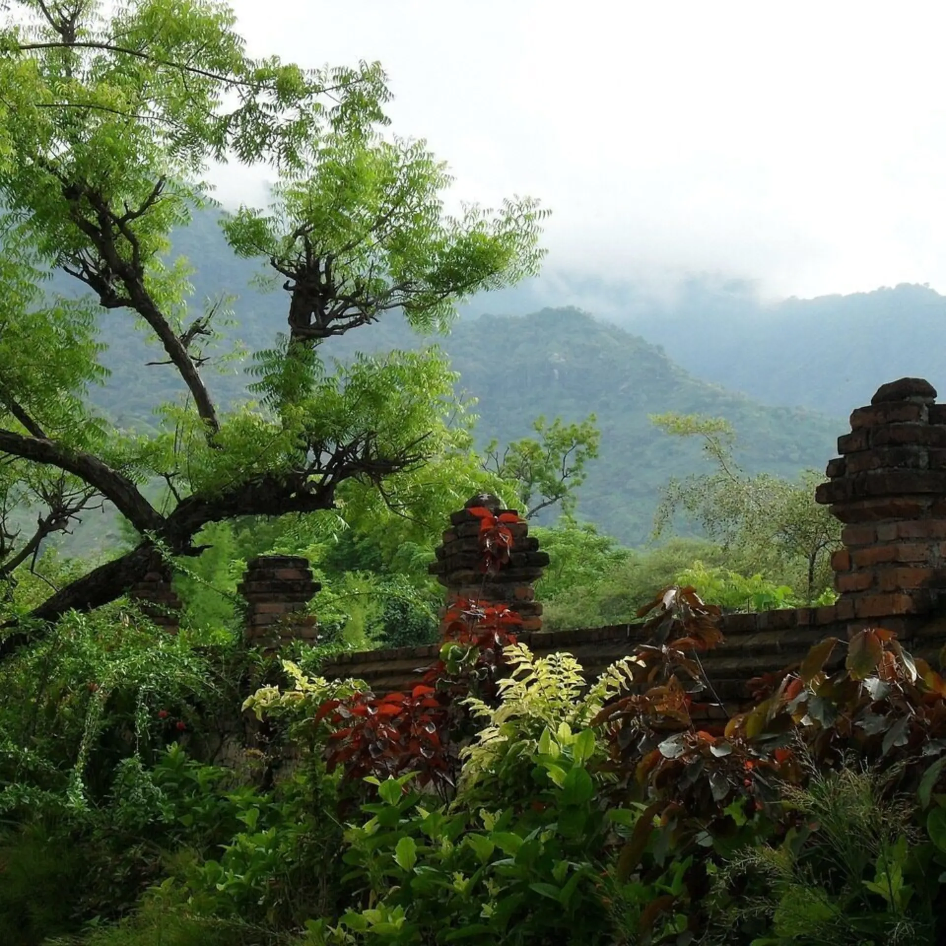 Pemuteran 13057201280 1