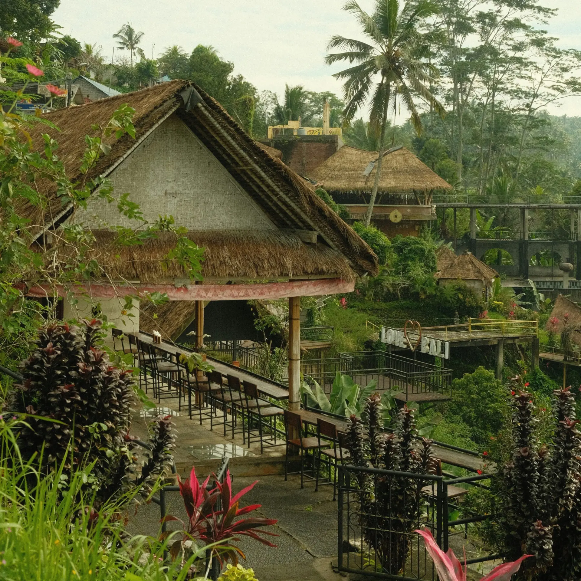 Sophie peng vp4dvhnmnnm unsplash3