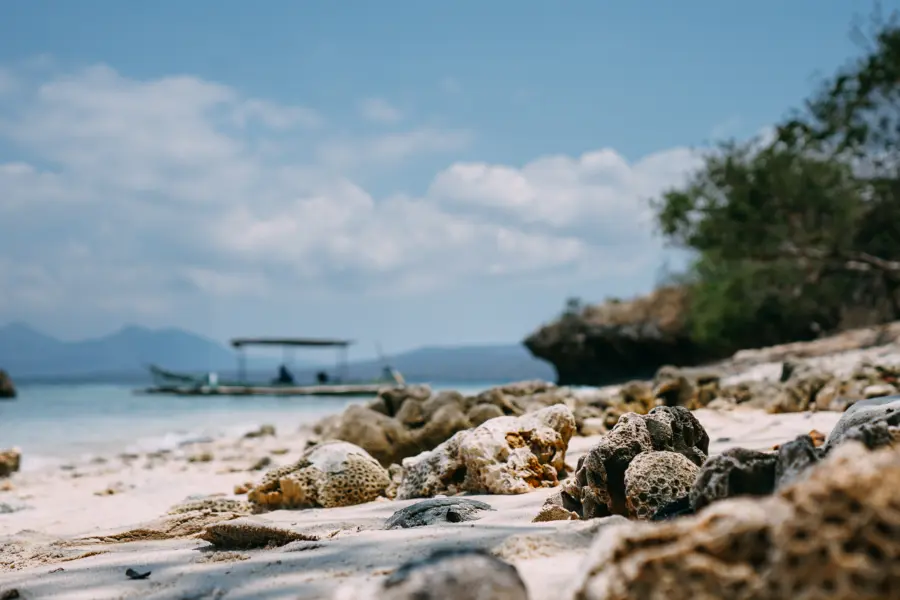 Menjangan island