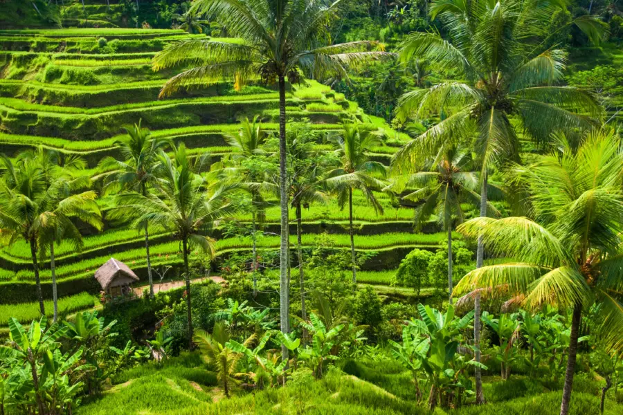 Shutterstock 684274432