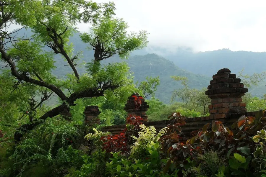 Pemuteran 13057201280 1