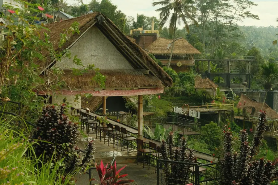 Sophie peng vp4dvhnmnnm unsplash3