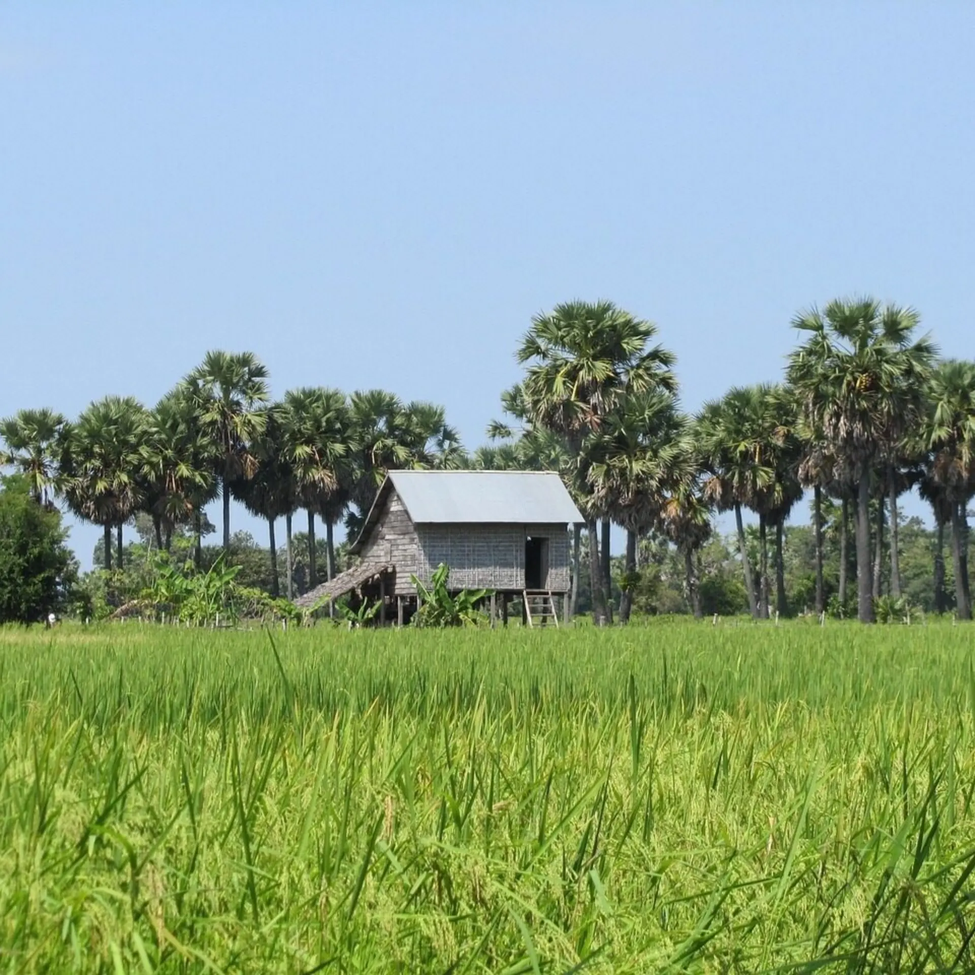 Landscape gfa3214b34 12801