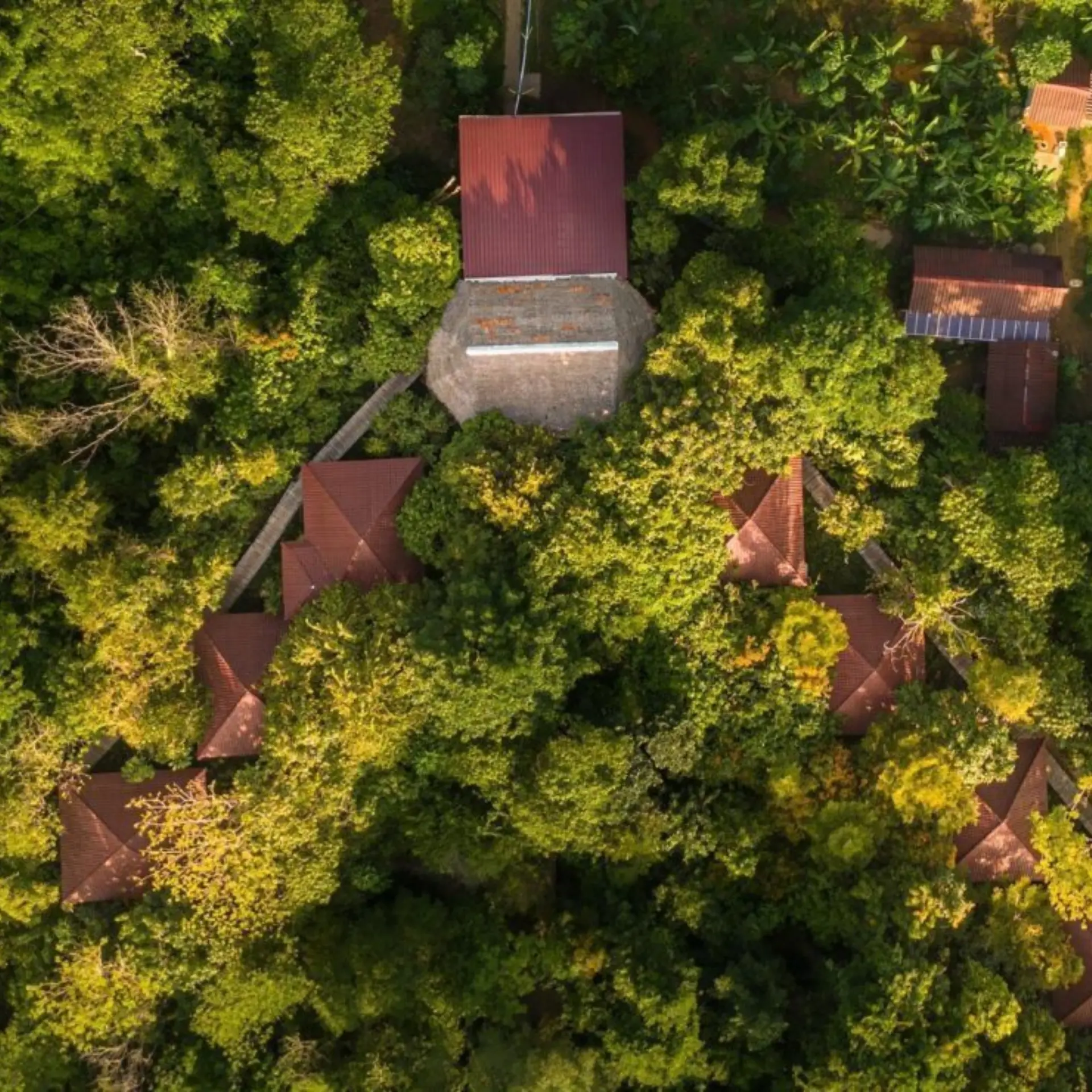 Rainbow lodge 3