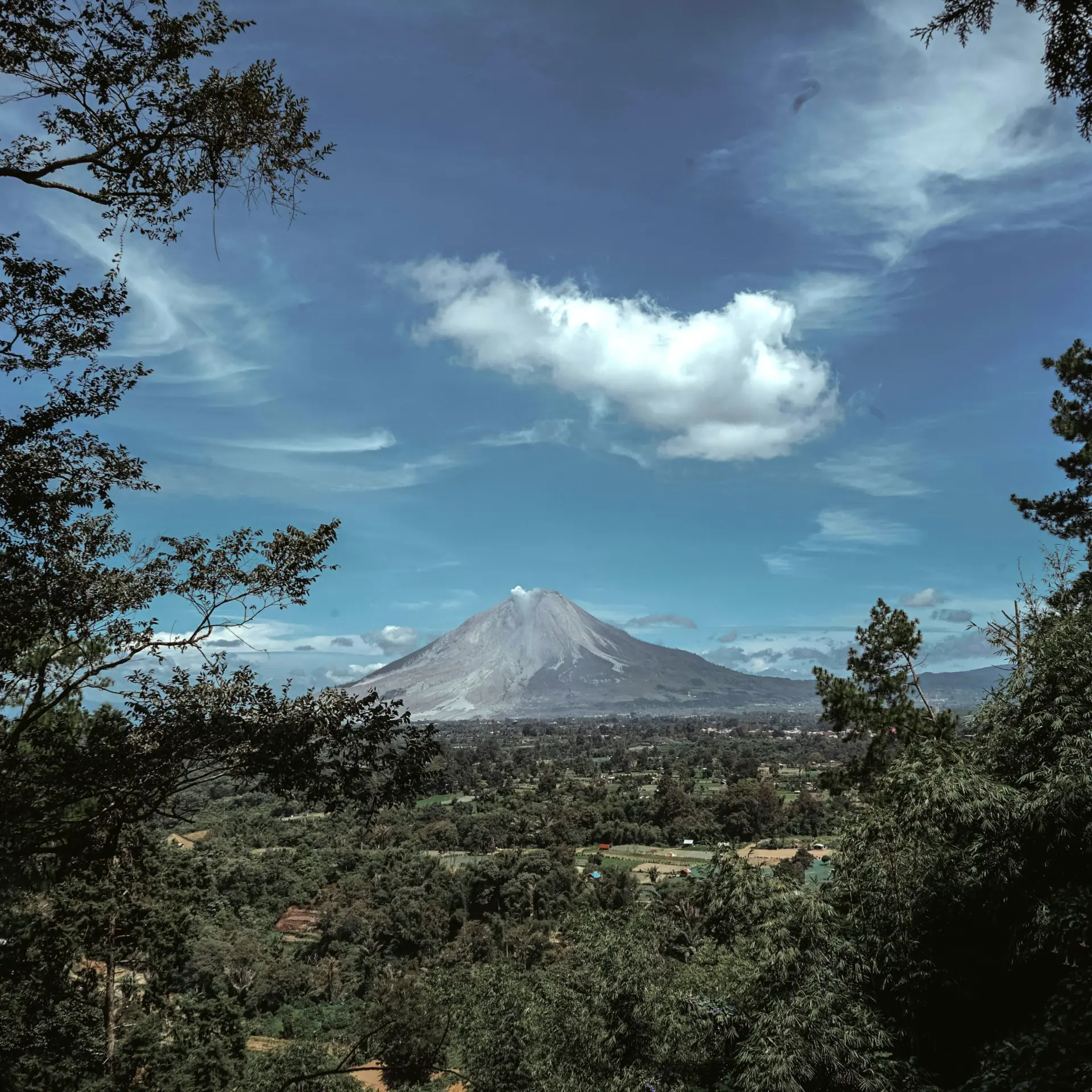Jesman fabio huu8lua8rtu unsplash