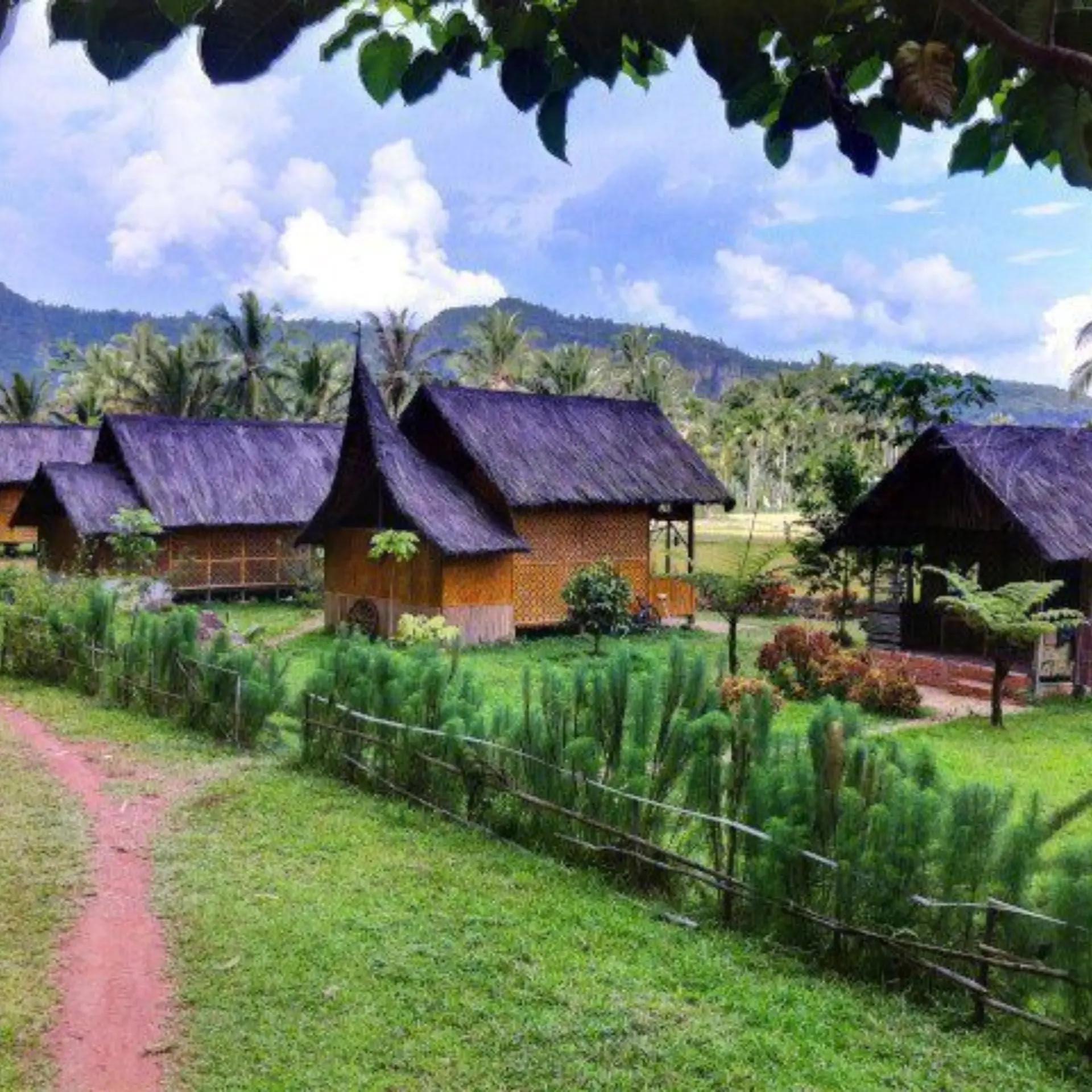 Abdi homestay1
