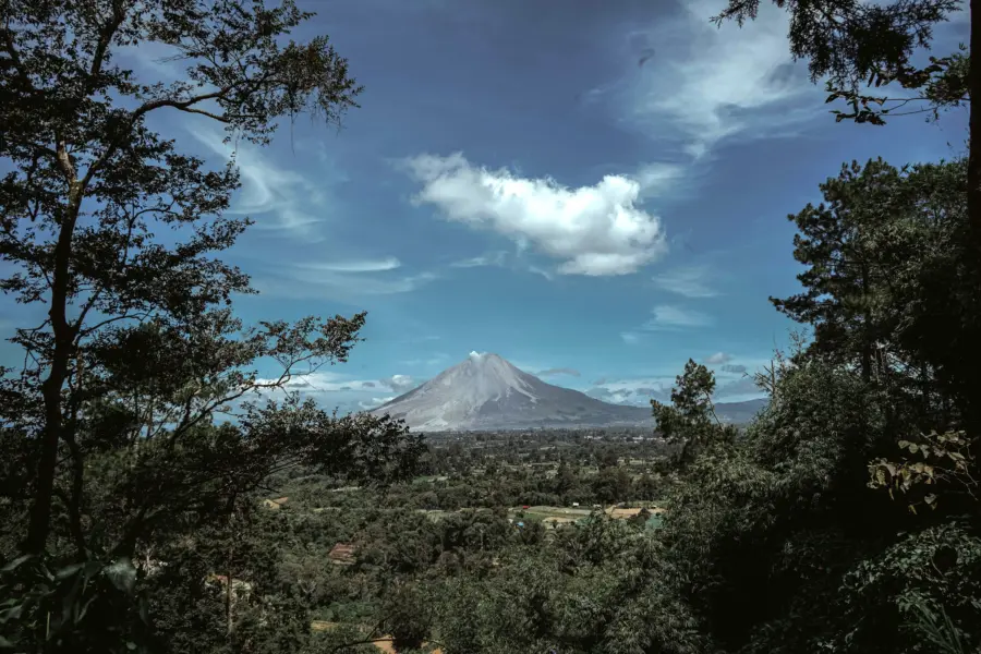 Jesman fabio huu8lua8rtu unsplash
