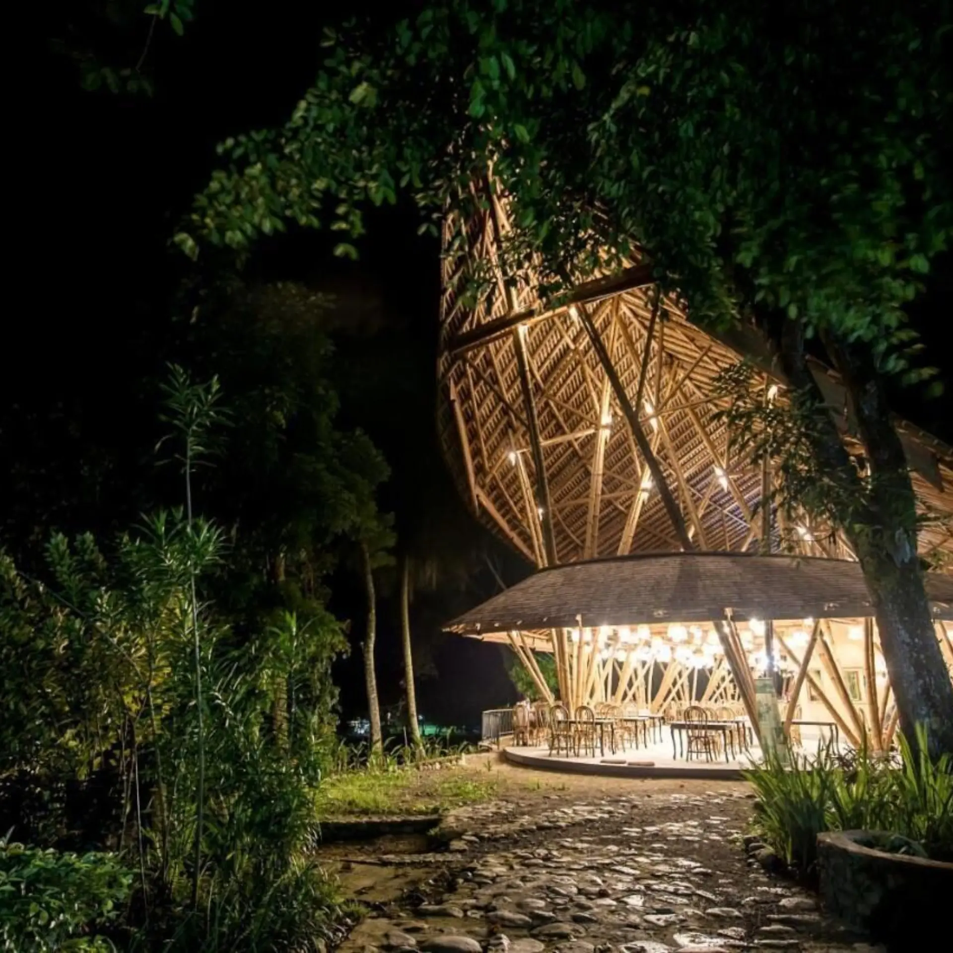 Ecolodge bukit lawang 5