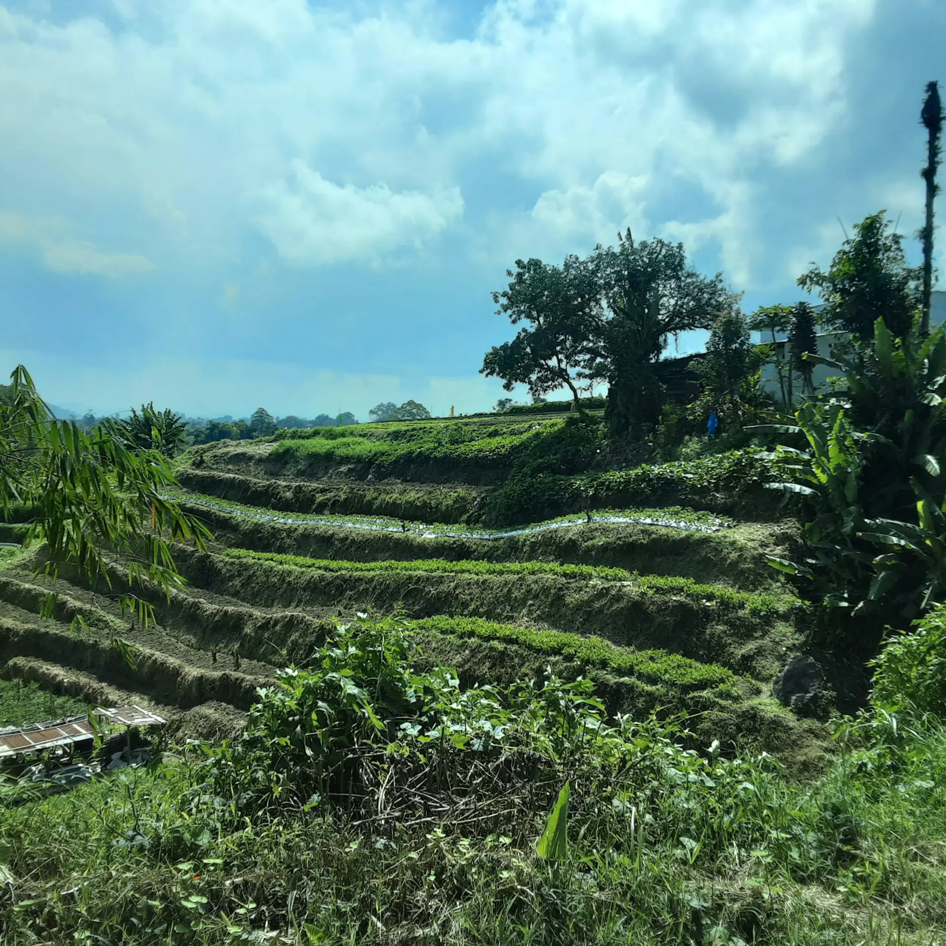 Edwin petrus ixcm7sbkxvw unsplash