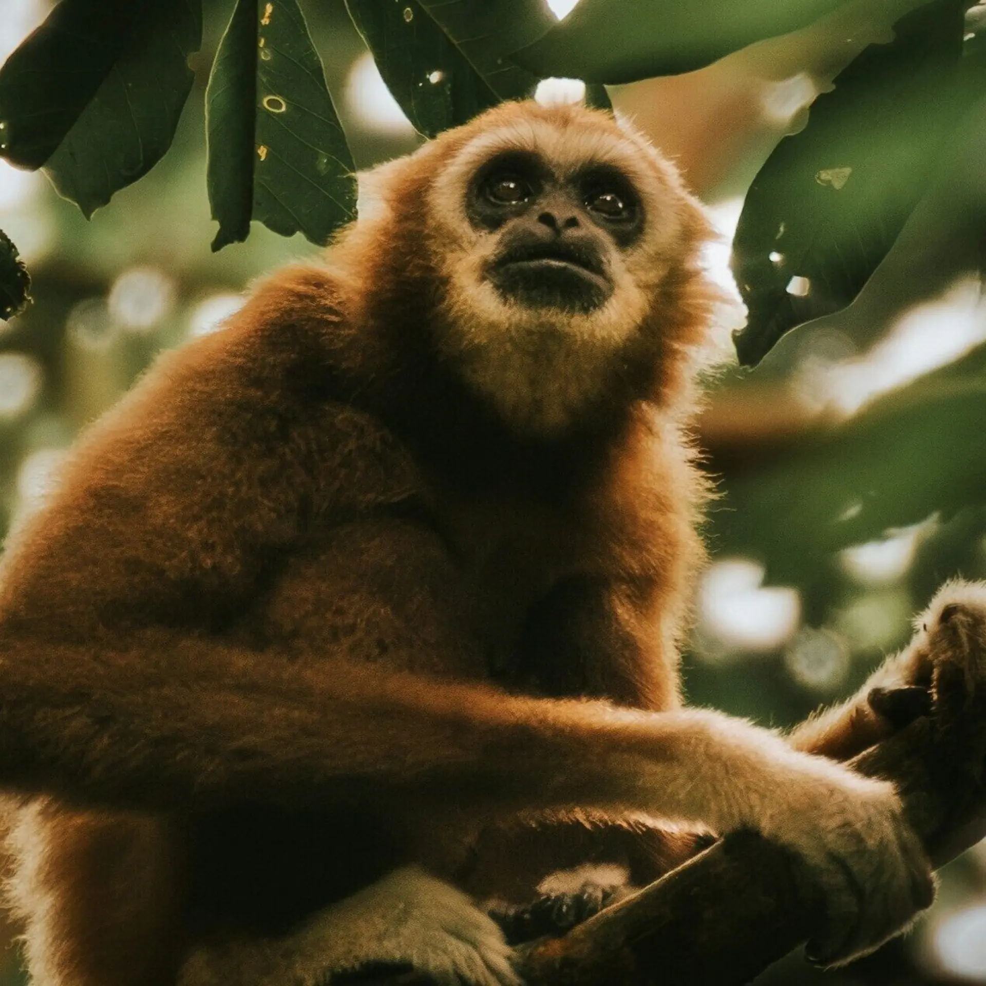 1745583750766 nick reijrink Yery Mzq SX8 M unsplash