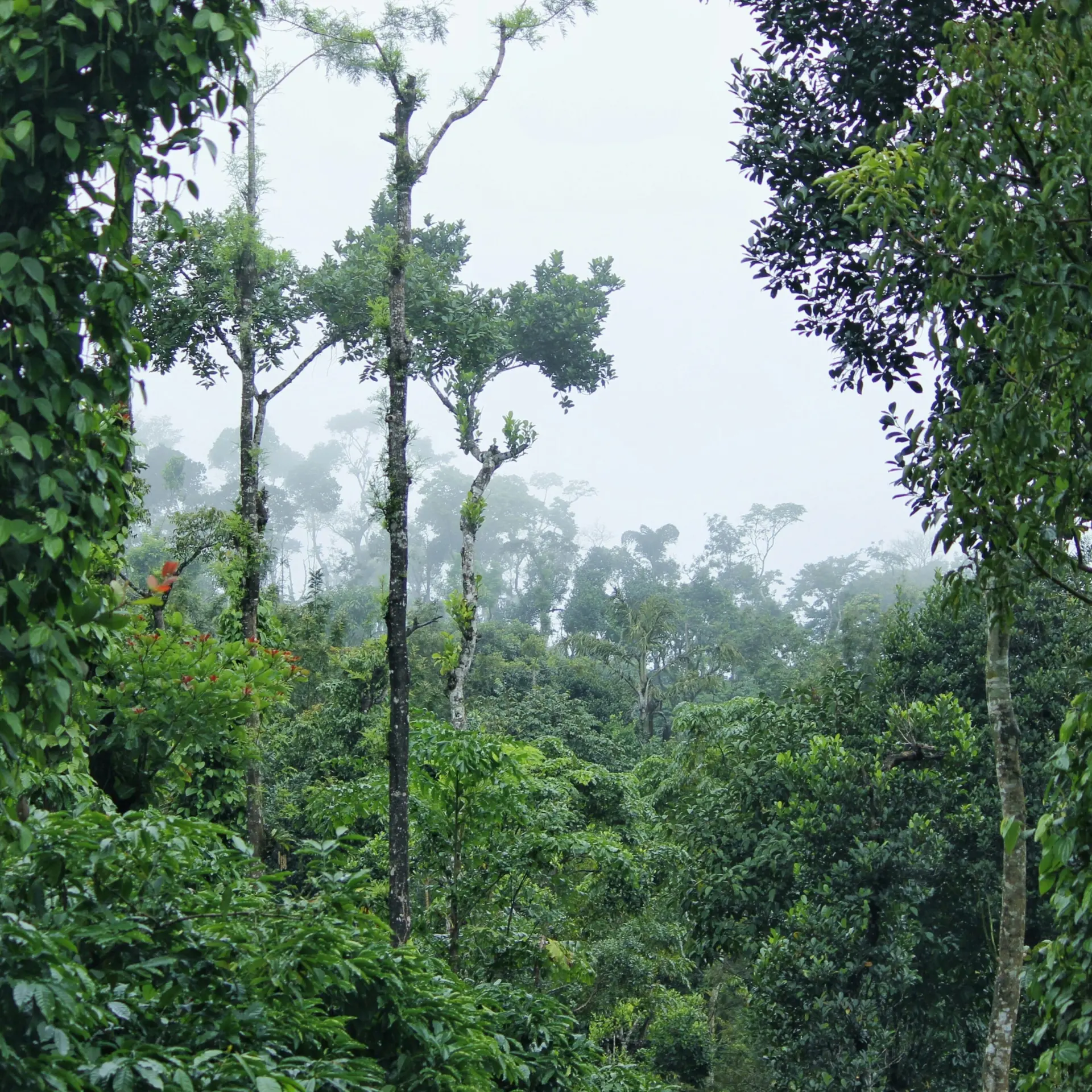 Ben abraham f36eoqzzbm8 unsplash