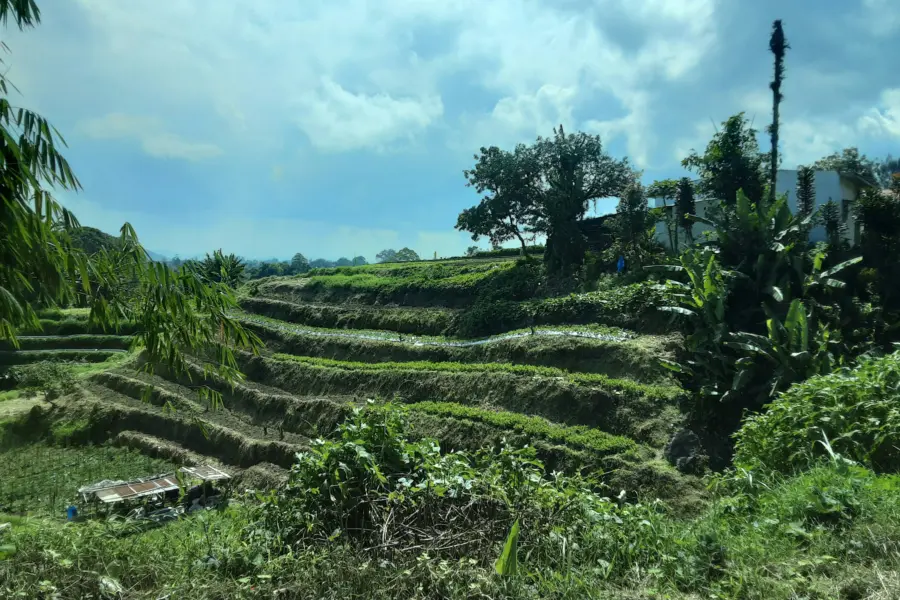 Edwin petrus ixcm7sbkxvw unsplash