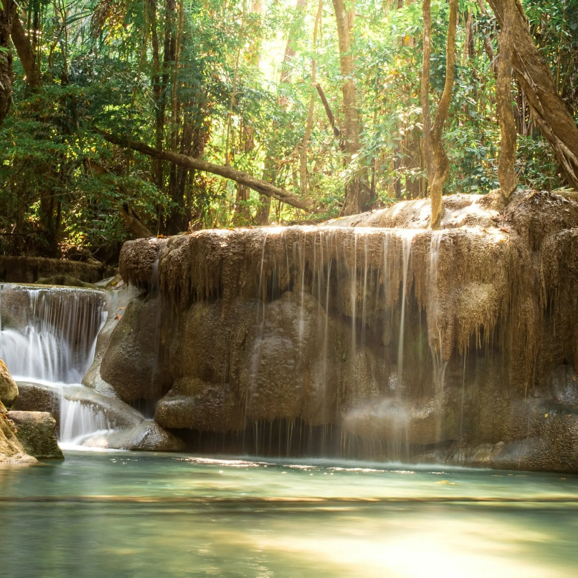 Tomas malik xmqmgd ieba unsplash 1