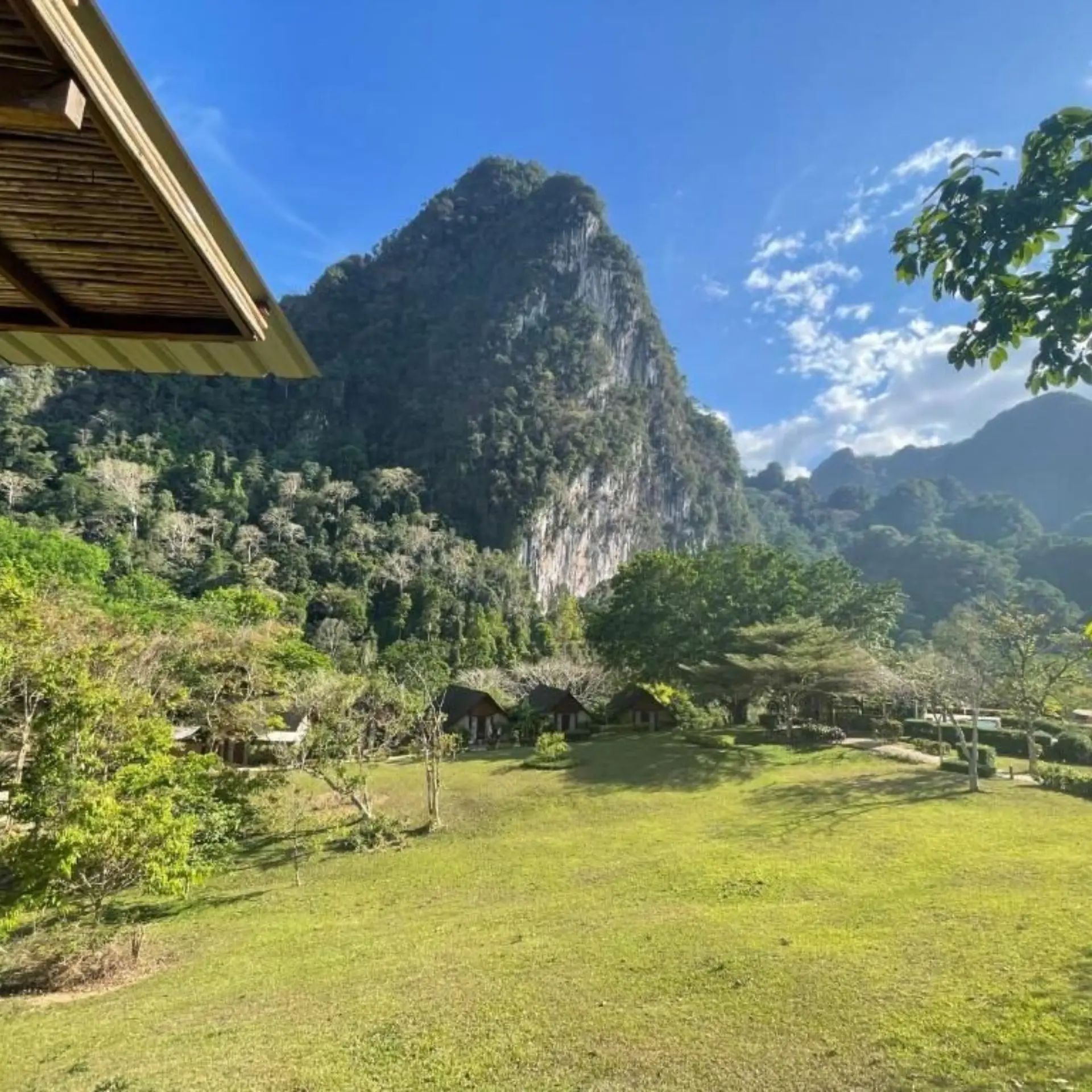 The cliff river jungle resort