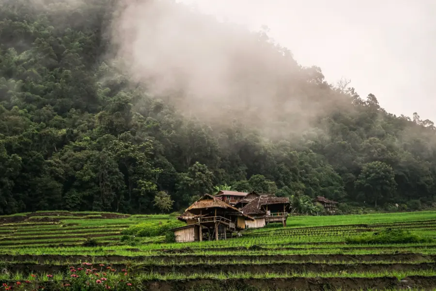 David gardiner kk7 nniytfs unsplash