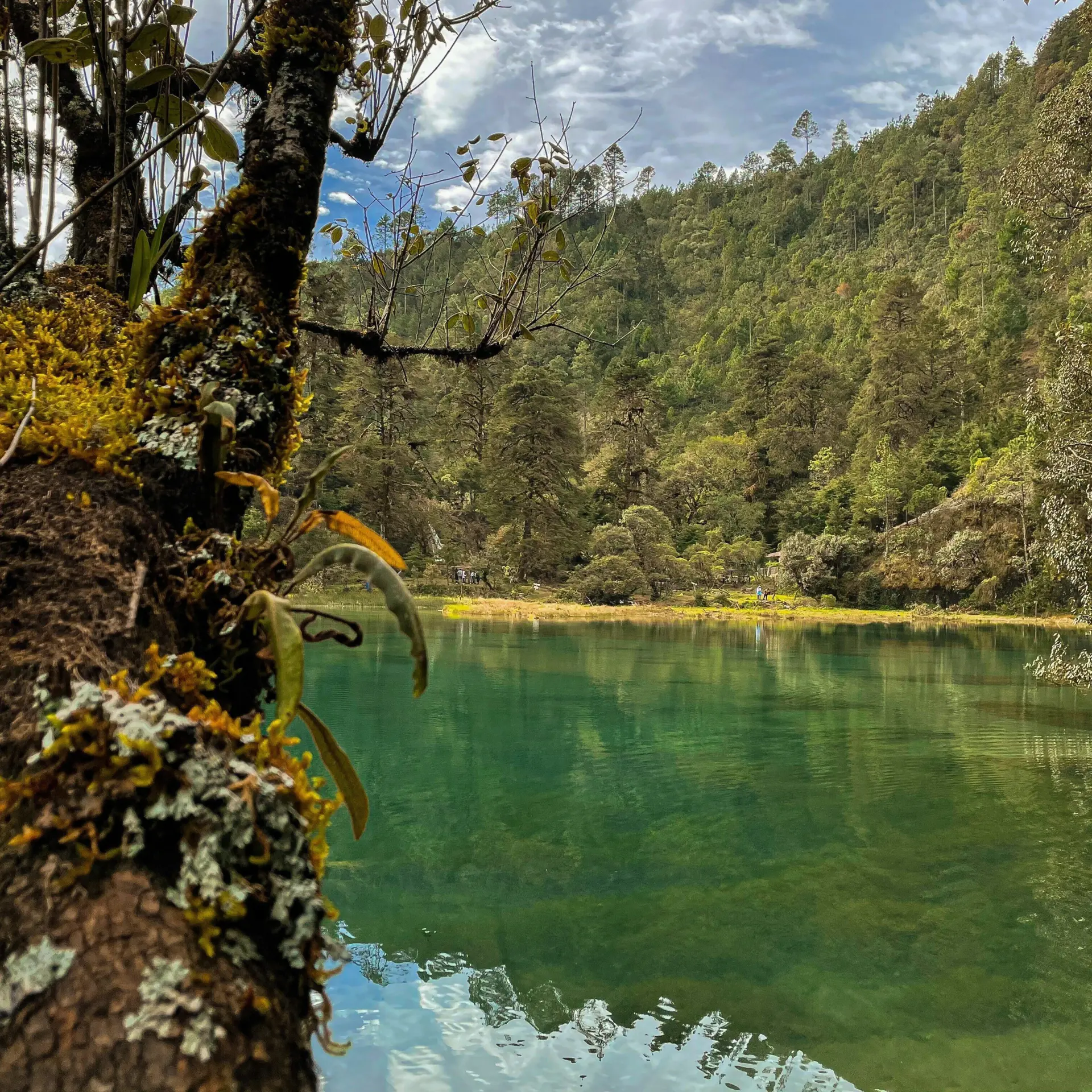 Jose fajardo 4yjixhzpoic unsplash