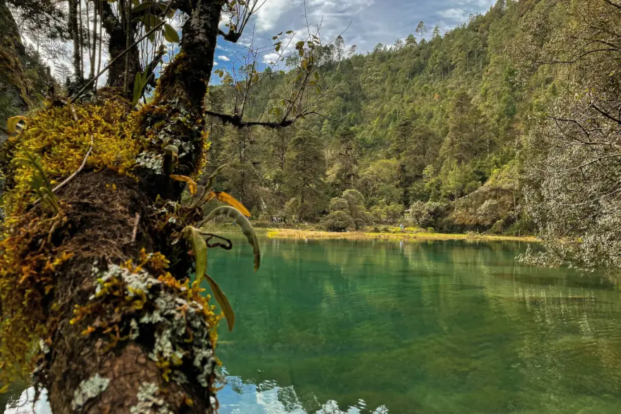 Jose fajardo 4yjixhzpoic unsplash