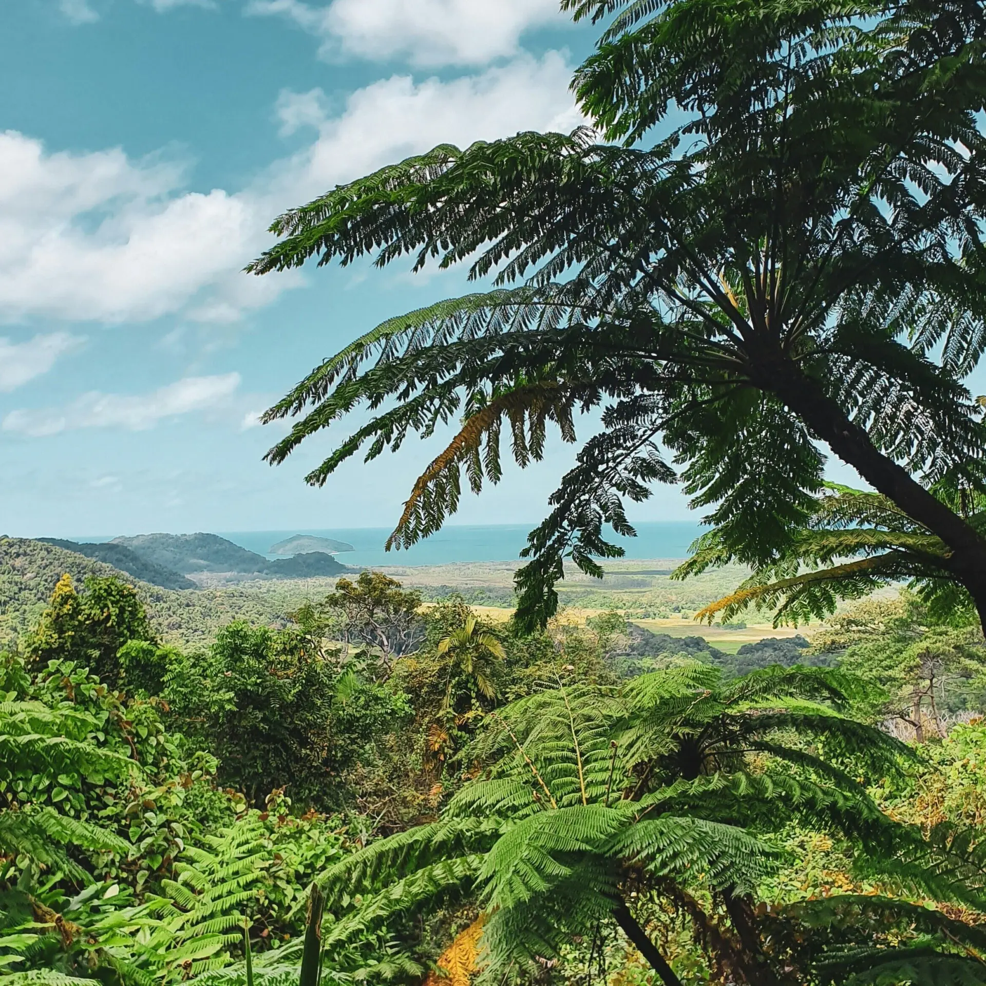 Federico garcia mqxp65uefje unsplash1