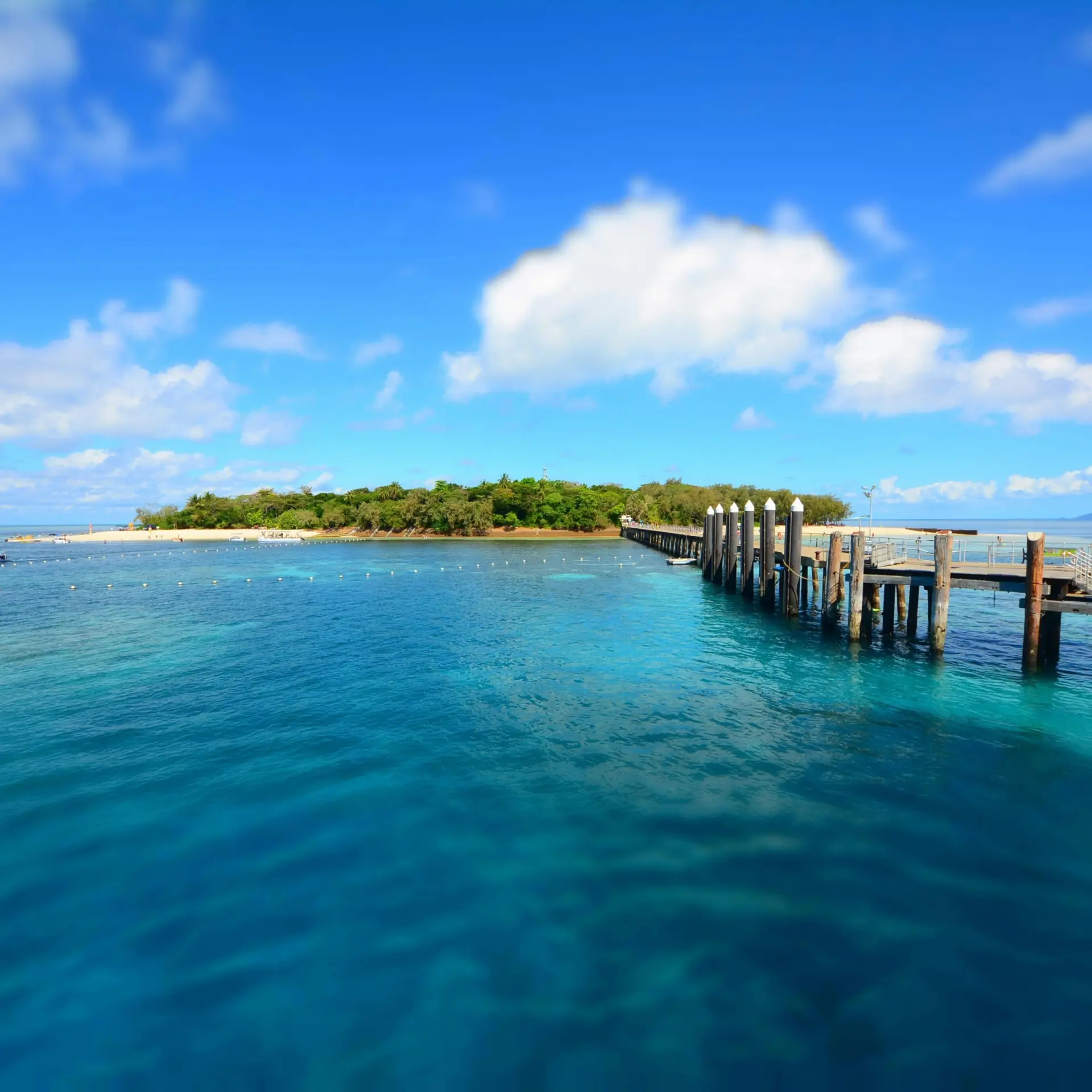 1764935538514jodi nelson jgbwyxvpxa4 unsplash