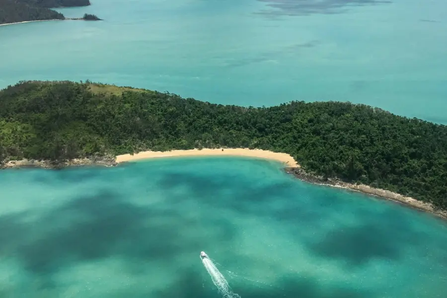 Vladimir haltakov orjuv1upmmc unsplash