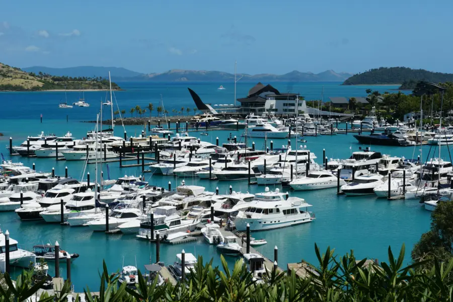 Sheila c 1sgiq1qcjoq unsplash