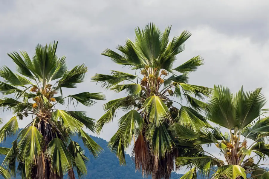 David clode wwl6wgls0y unsplash1