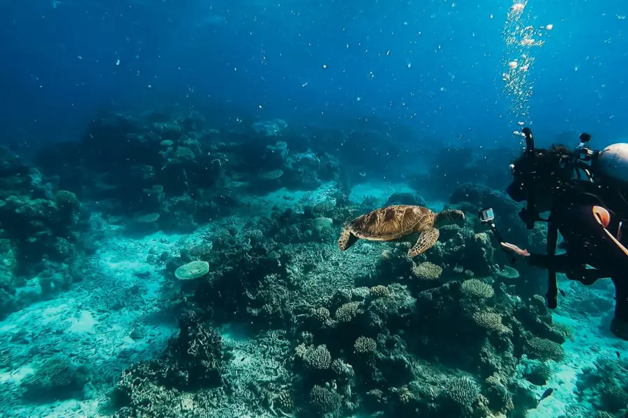 Jessie marie sorenson m7jr1lbokk unsplash1