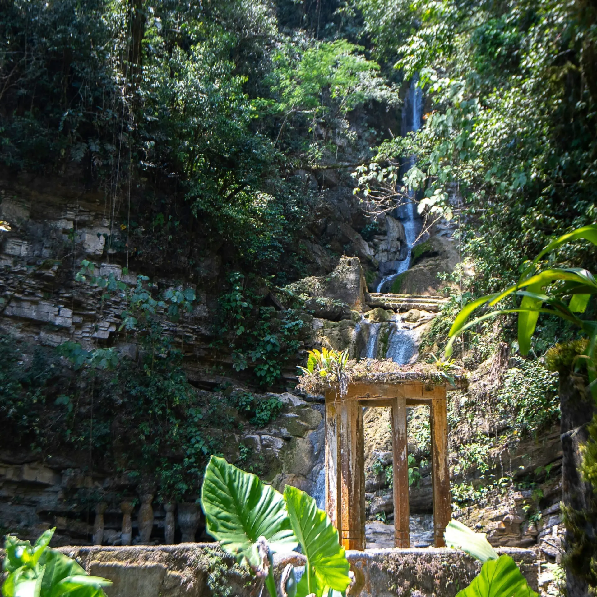 Uriel soberanes o vzex8aubm unsplash