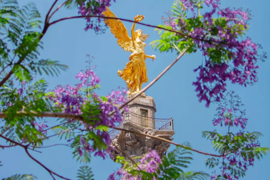 Axel garcia ywgifygwvfa unsplash