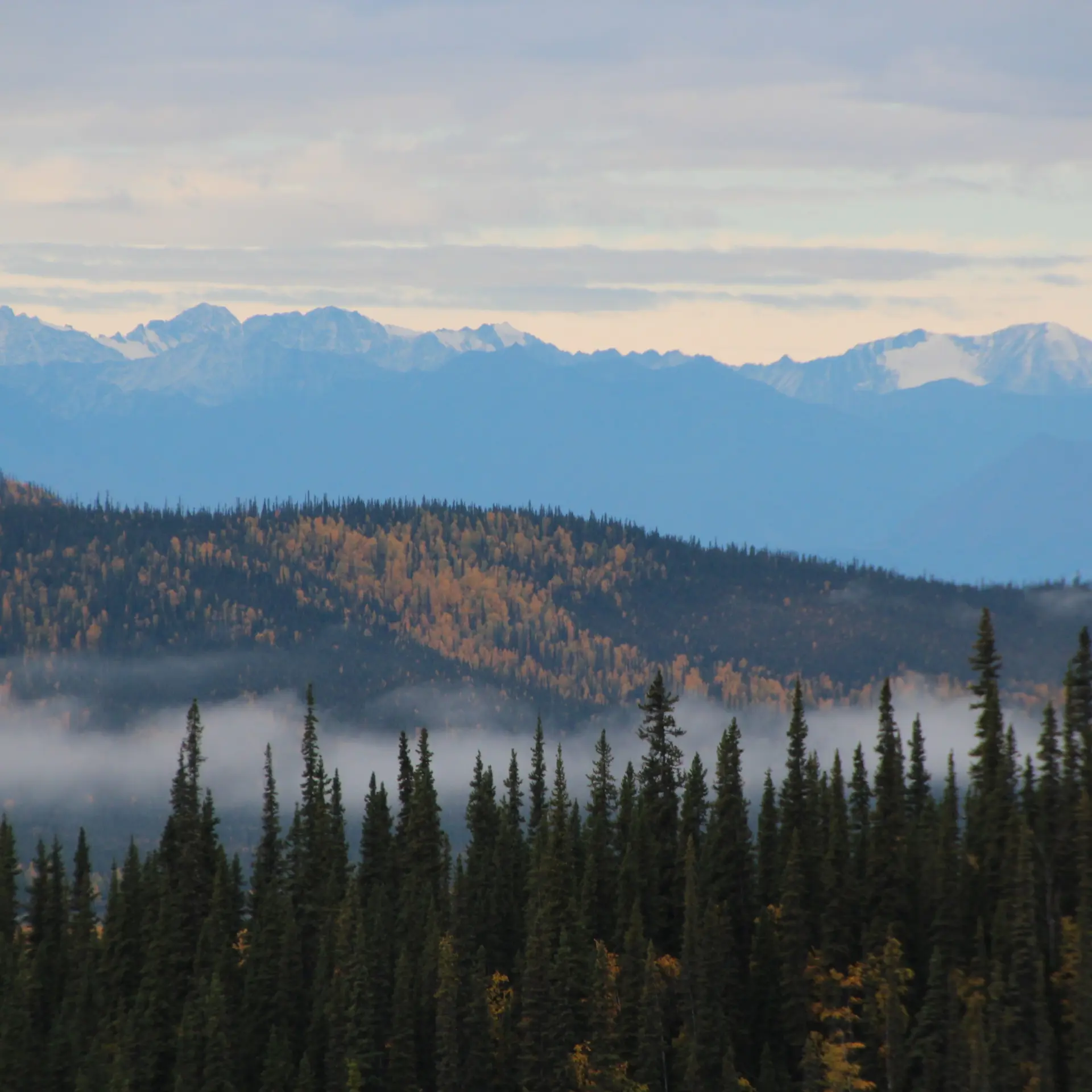Yukon