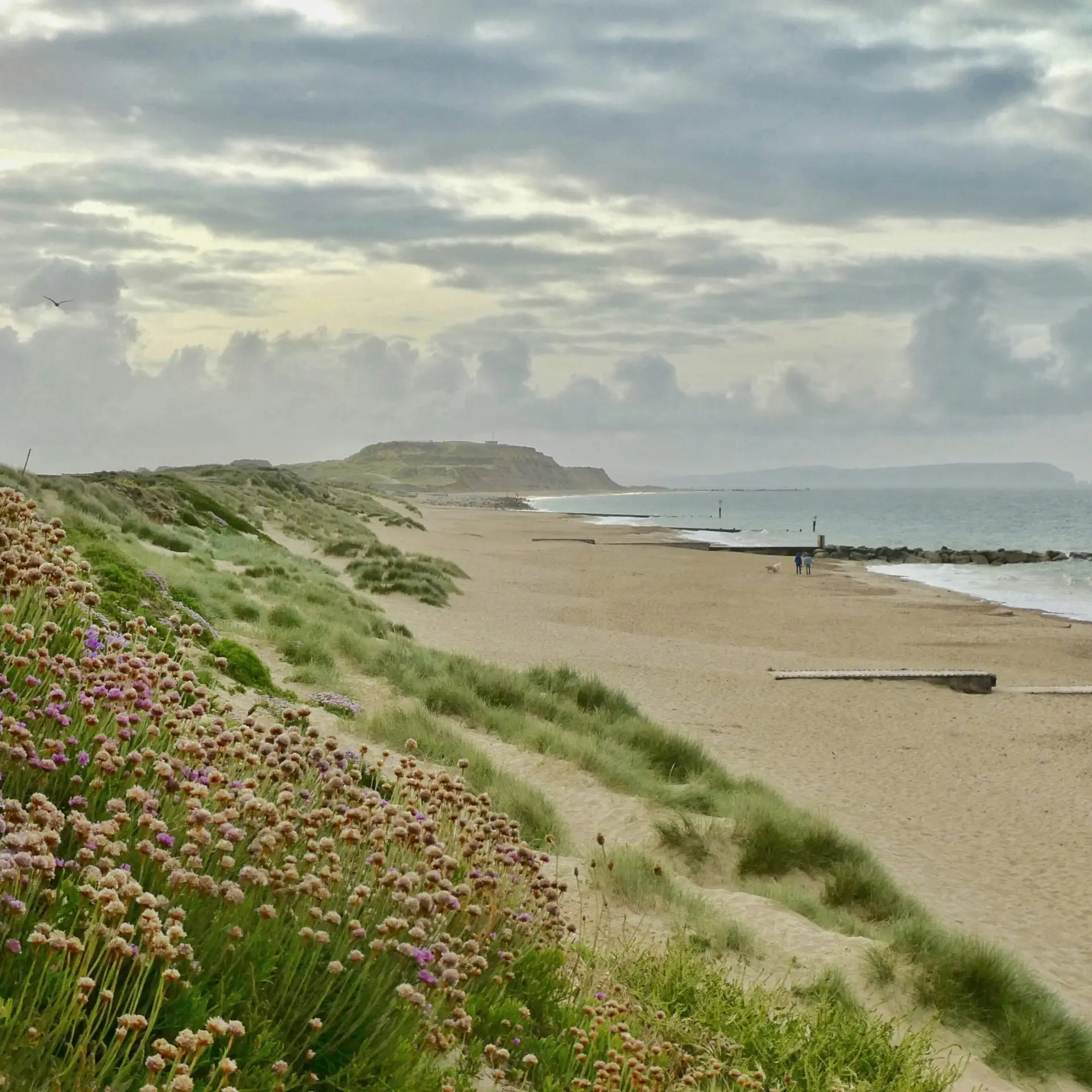 Belinda fewings zt5mrwq7xlc unsplash