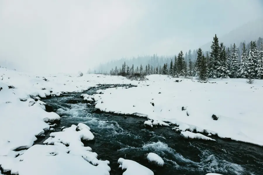 Eric muhr irruf2amuj8 unsplash