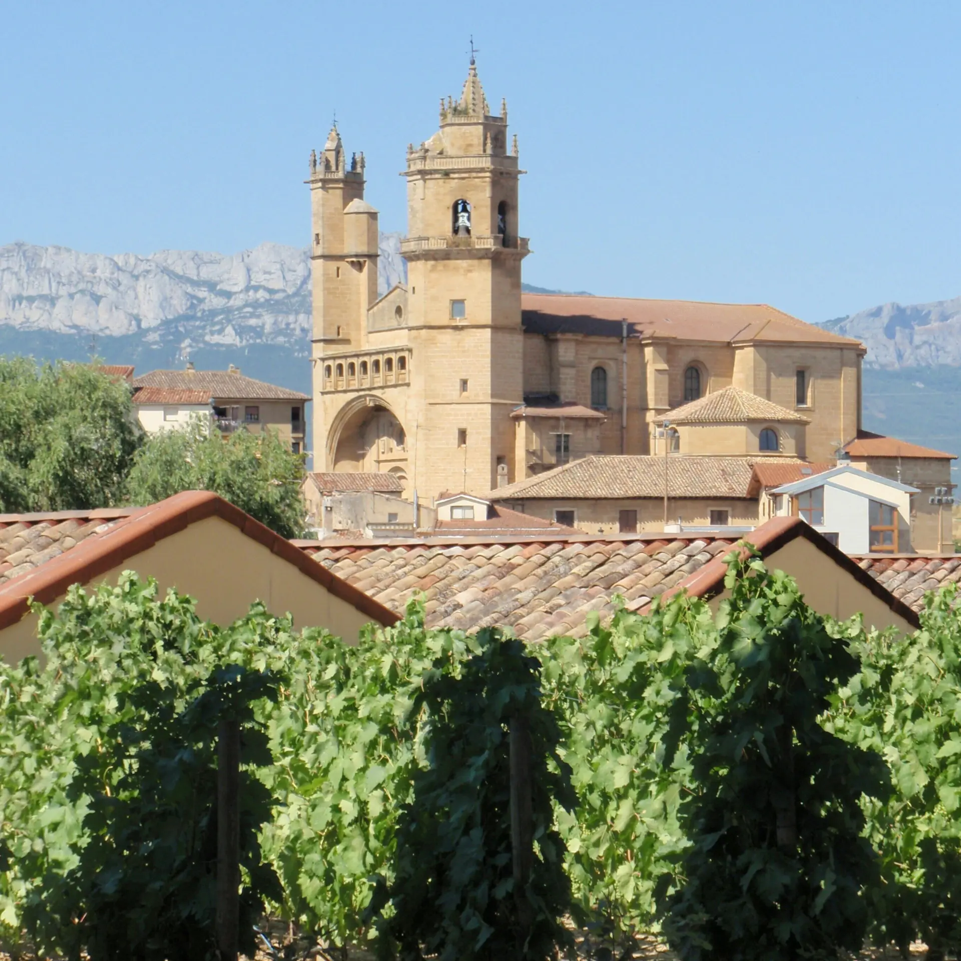 Roxanna lopez piedrafuette nfh8inolks unsplash