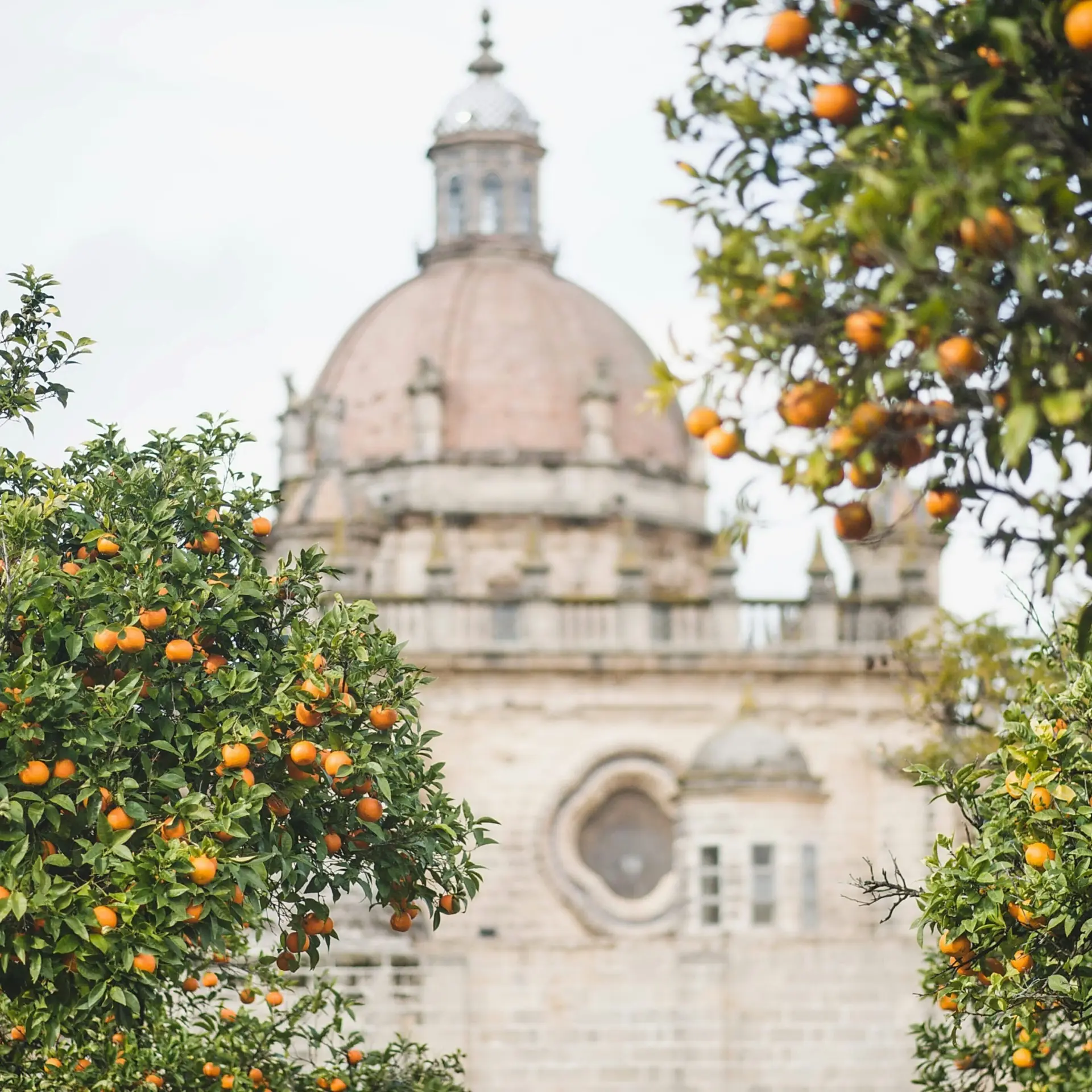 Olga angelucci erge5go28f4 unsplash