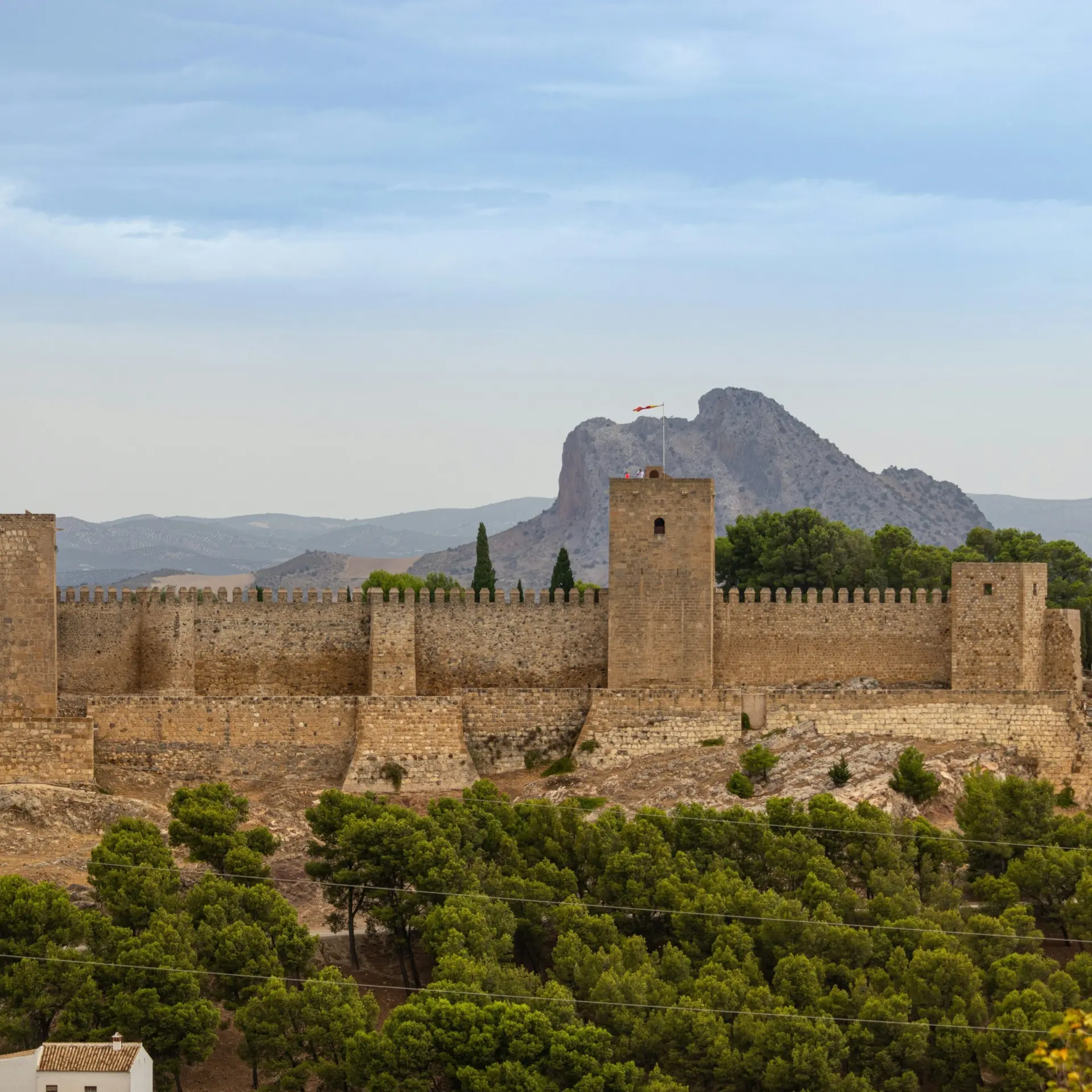 Jordi vich navarro hwbq8lxgoa unsplash